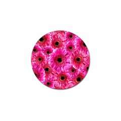 Gerbera Flower Nature Pink Blosso Golf Ball Marker (4 Pack) by Nexatart