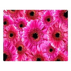 Gerbera Flower Nature Pink Blosso Double Sided Flano Blanket (large) 