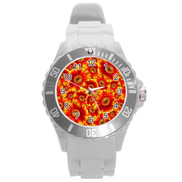 Gerbera Flowers Blossom Bloom Round Plastic Sport Watch (L)