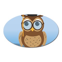 Read Owl Book Owl Glasses Read Oval Magnet by Nexatart