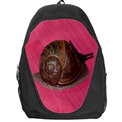 Snail Pink Background Backpack Bag by Nexatart