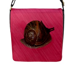 Snail Pink Background Flap Messenger Bag (l)  by Nexatart