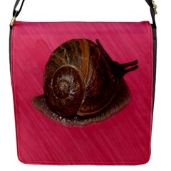 Snail Pink Background Flap Messenger Bag (s) by Nexatart