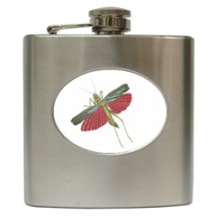 Grasshopper Insect Animal Isolated Hip Flask (6 Oz)