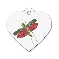 Grasshopper Insect Animal Isolated Dog Tag Heart (one Side) by Nexatart