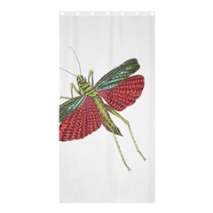 Grasshopper Insect Animal Isolated Shower Curtain 36  X 72  (stall)  by Nexatart