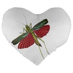 Grasshopper Insect Animal Isolated Large 19  Premium Heart Shape Cushions Front