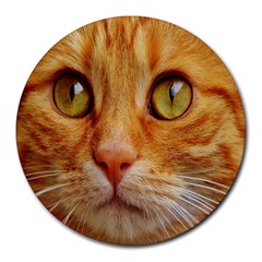 Cat Red Cute Mackerel Tiger Sweet Round Mousepads by Nexatart