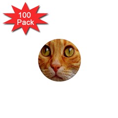 Cat Red Cute Mackerel Tiger Sweet 1  Mini Magnets (100 pack) 