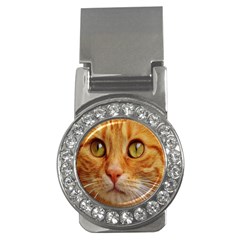 Cat Red Cute Mackerel Tiger Sweet Money Clips (CZ) 