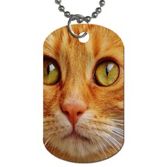 Cat Red Cute Mackerel Tiger Sweet Dog Tag (one Side) by Nexatart