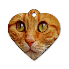 Cat Red Cute Mackerel Tiger Sweet Dog Tag Heart (one Side) by Nexatart