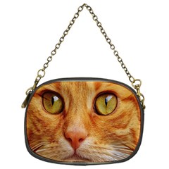 Cat Red Cute Mackerel Tiger Sweet Chain Purses (one Side)  by Nexatart