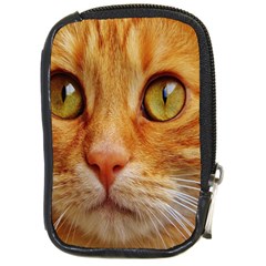 Cat Red Cute Mackerel Tiger Sweet Compact Camera Cases by Nexatart