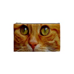 Cat Red Cute Mackerel Tiger Sweet Cosmetic Bag (small)  by Nexatart