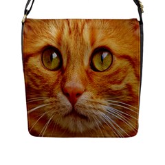 Cat Red Cute Mackerel Tiger Sweet Flap Messenger Bag (L) 