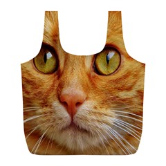 Cat Red Cute Mackerel Tiger Sweet Full Print Recycle Bags (l)  by Nexatart