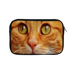 Cat Red Cute Mackerel Tiger Sweet Apple Macbook Pro 13  Zipper Case by Nexatart