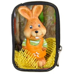 Easter Hare Easter Bunny Compact Camera Cases