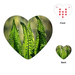 Fern Ferns Green Nature Foliage Playing Cards (heart)  by Nexatart