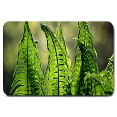 Fern Ferns Green Nature Foliage Large Doormat  by Nexatart