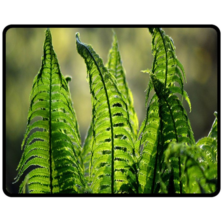 Fern Ferns Green Nature Foliage Fleece Blanket (Medium) 