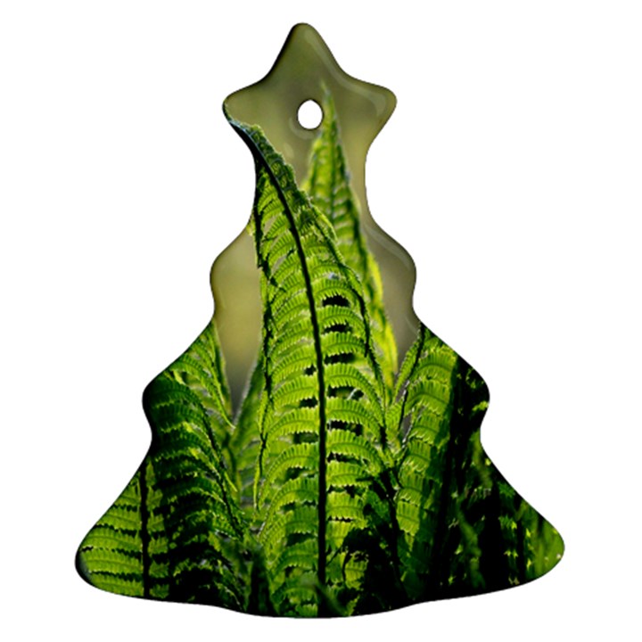 Fern Ferns Green Nature Foliage Christmas Tree Ornament (Two Sides)