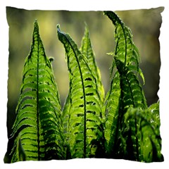 Fern Ferns Green Nature Foliage Large Cushion Case (one Side)