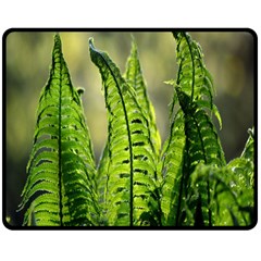 Fern Ferns Green Nature Foliage Double Sided Fleece Blanket (medium)  by Nexatart