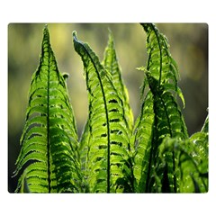 Fern Ferns Green Nature Foliage Double Sided Flano Blanket (small)  by Nexatart