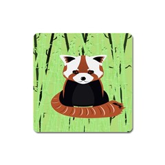 Red Panda Bamboo Firefox Animal Square Magnet by Nexatart