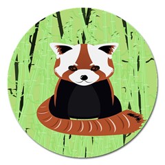 Red Panda Bamboo Firefox Animal Magnet 5  (round) by Nexatart