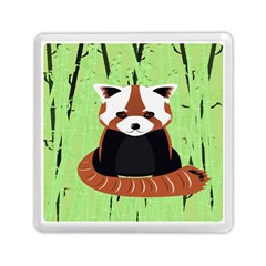 Red Panda Bamboo Firefox Animal Memory Card Reader (square)  by Nexatart