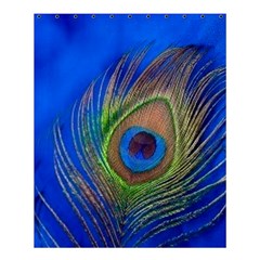 Blue Peacock Feather Shower Curtain 60  X 72  (medium)  by Amaryn4rt
