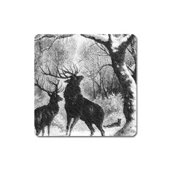 Stag Deer Forest Winter Christmas Square Magnet by Amaryn4rt