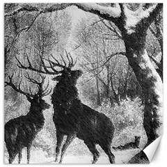 Stag Deer Forest Winter Christmas Canvas 20  X 20   by Amaryn4rt