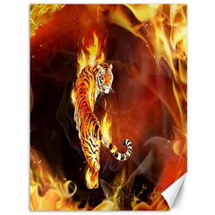 Fire Tiger Lion Animals Wild Orange Yellow Canvas 36  x 48  