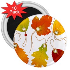 Vector Beautiful Maple Leaf 3  Magnets (10 Pack)  by Nexatart