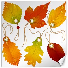 Vector Beautiful Maple Leaf Canvas 12  X 12   by Nexatart
