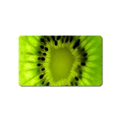 Kiwi Fruit Slices Cut Macro Green Magnet (name Card) by Alisyart