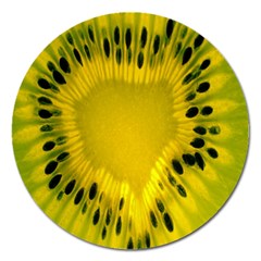 Kiwi Fruit Slices Cut Macro Green Yellow Magnet 5  (round)