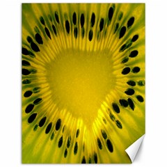 Kiwi Fruit Slices Cut Macro Green Yellow Canvas 12  X 16  