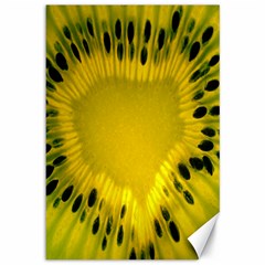 Kiwi Fruit Slices Cut Macro Green Yellow Canvas 12  X 18   by Alisyart