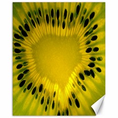 Kiwi Fruit Slices Cut Macro Green Yellow Canvas 16  X 20  