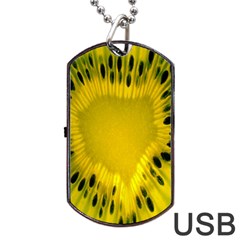 Kiwi Fruit Slices Cut Macro Green Yellow Dog Tag Usb Flash (two Sides)