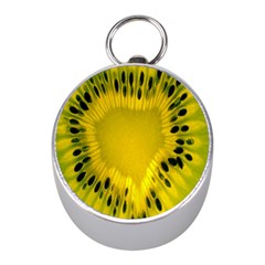Kiwi Fruit Slices Cut Macro Green Yellow Mini Silver Compasses by Alisyart