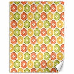 Lime Orange Fruit Slice Color Canvas 12  X 16  