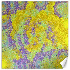 Backdrop Background Abstract Canvas 20  X 20  