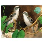 Backdrop Colorful Bird Decoration Double Sided Flano Blanket (Medium)  60 x50  Blanket Front