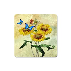 Backdrop Colorful Butterfly Square Magnet by Nexatart